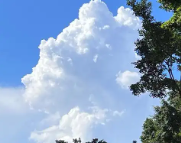 汕尾天气预报,汕尾7天天气预报,汕尾15天天气预报,汕尾天气查询